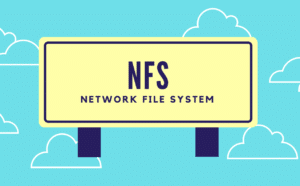 Network File System