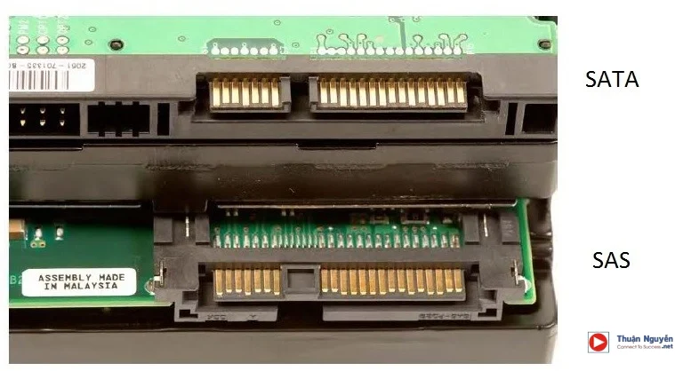 So sánh SATA và SAS (Serial Attached SCSI)