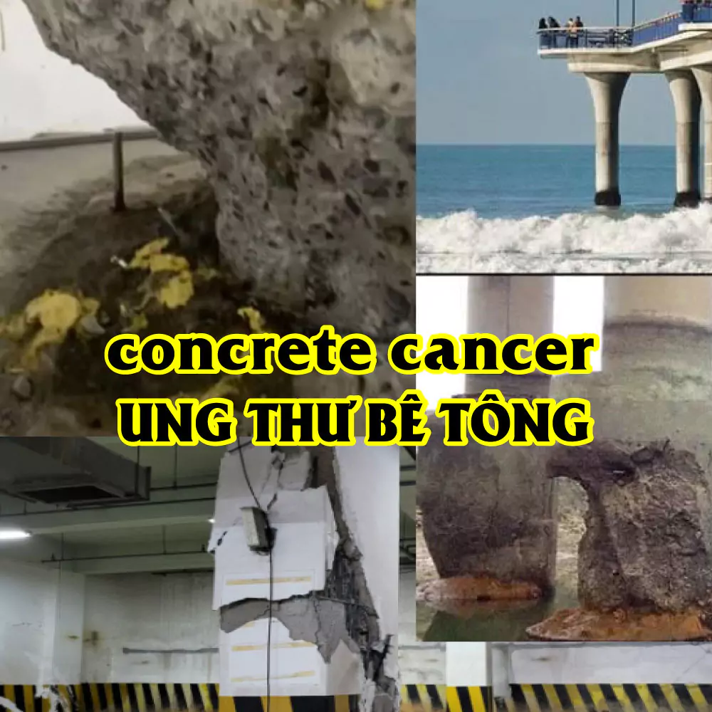 Ung thư bê tông concrete cancer và cách xử lý